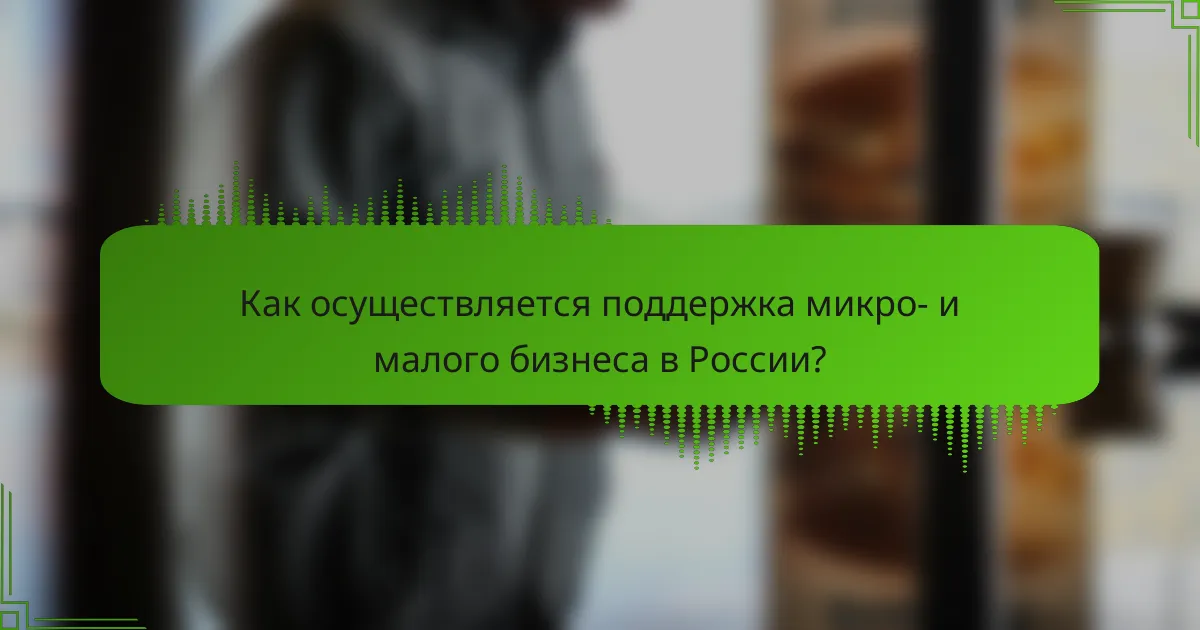 Как осуществляется поддержка микро- и малого бизнеса в России?